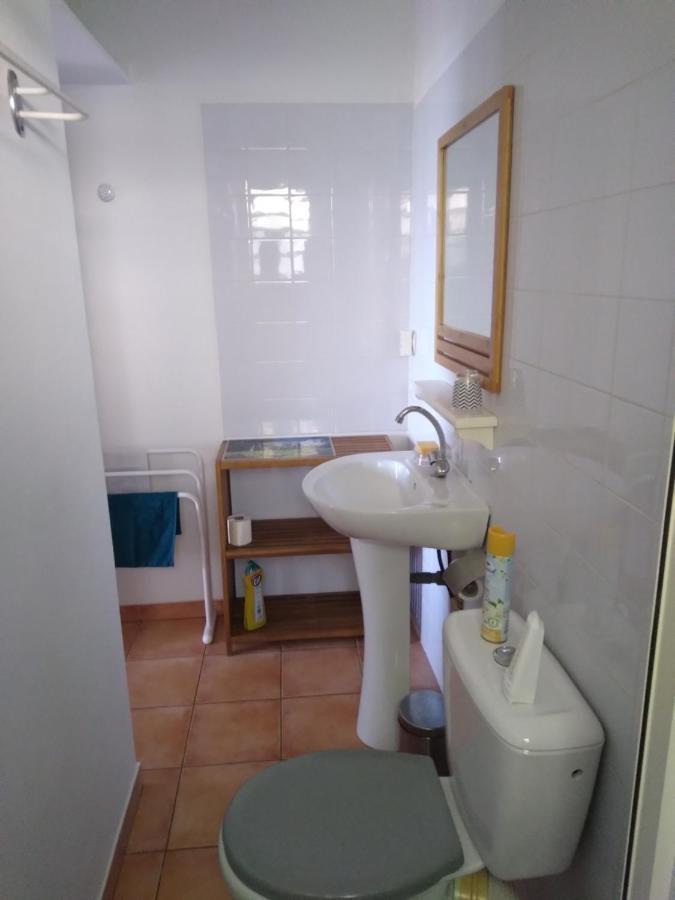 Studio Aux Avirons Pour 2 Personnes, Avec Piscine Les Avirons Buitenkant foto